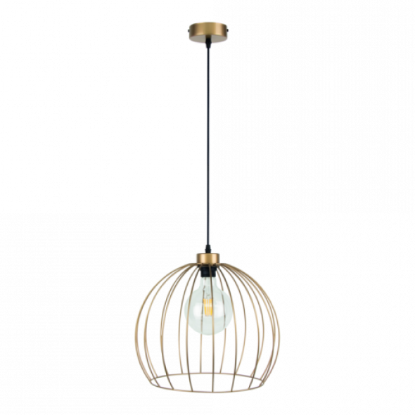 Coop D37 lampa wisząca 1-punktowa złota 18811920
