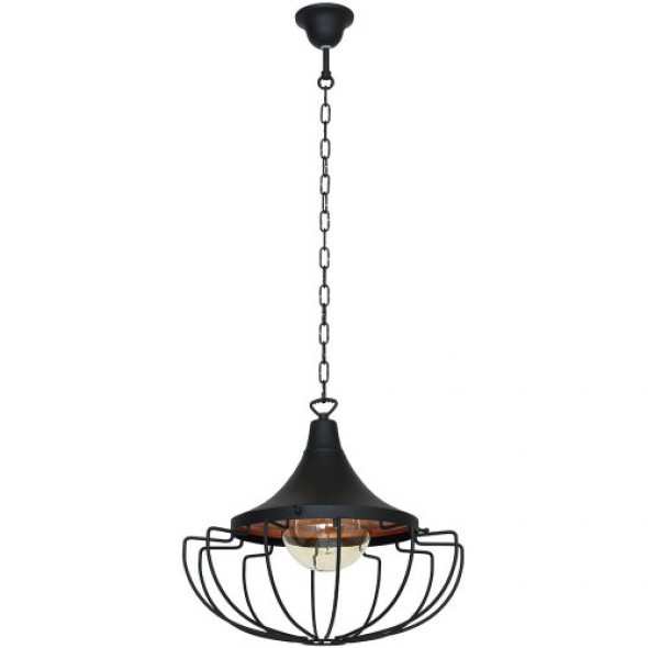 Danton II D38 lampa wisząca 1-punktowa 902G1/1