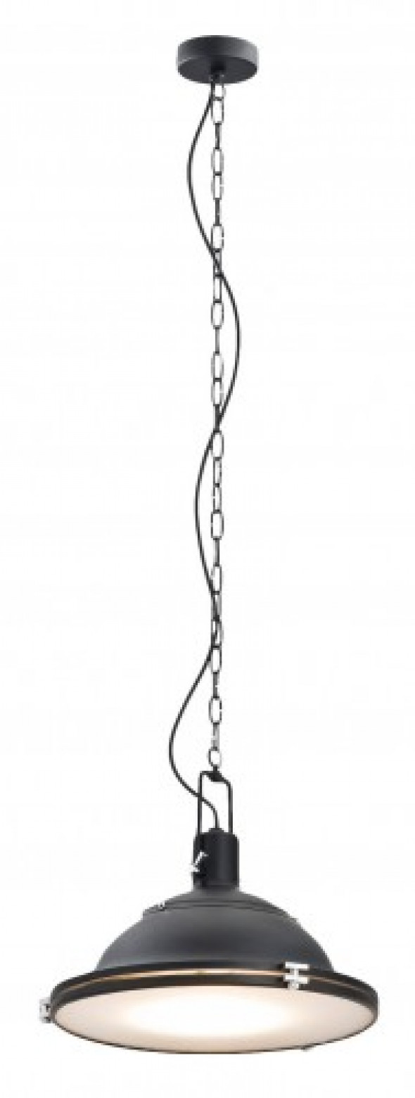 Nautilius L lampa wisząca 1-punktowa czarna 10269106