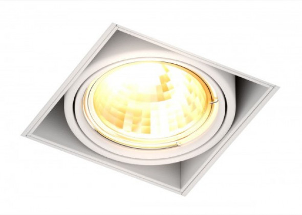 Oneon DL 50-1 oprawa do zabudowy 1-punktowa biała 94361-WH