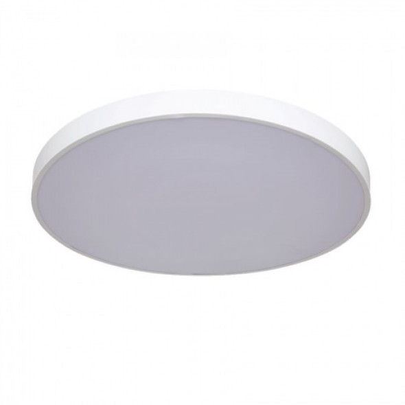 Rapido LED D60 plafon 1-punktowy biały 4000K LP-433/1C L WH