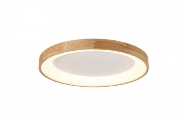 Silvam D65 LED plafon 1-punktowy AZ2698