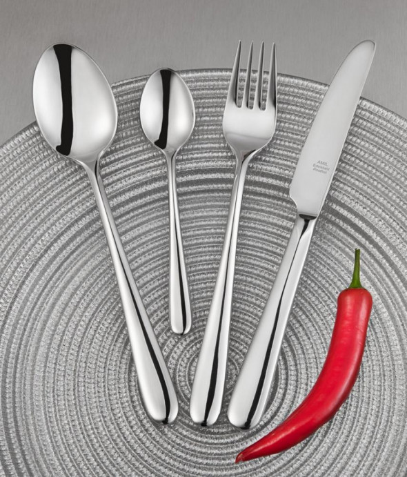 Sztućce WENUS połysk 72 el. Amil Bestecke w walizce 6000