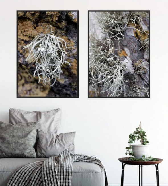 Komplet plakatów BOTANICAL ART