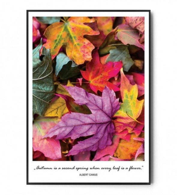Plakat AUTUMN LEAVES