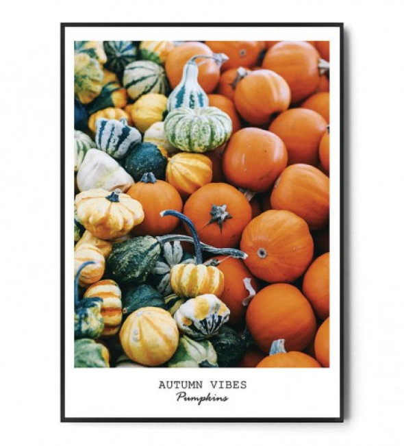 Plakat AUTUMN PUMPKINS