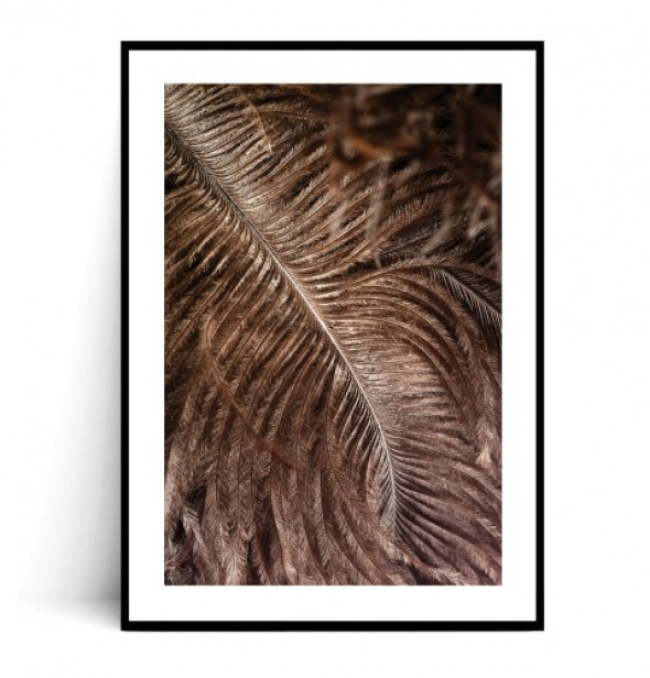 Plakat BOHO PIÓRO