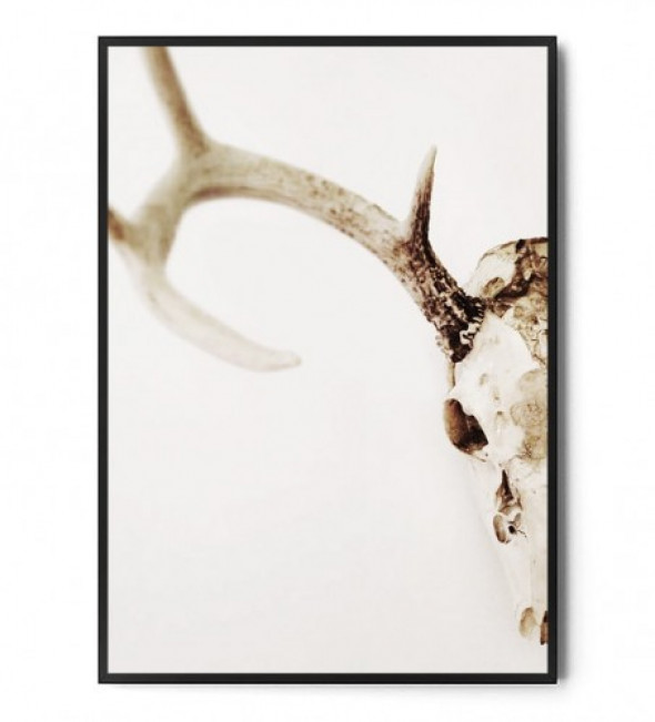 Plakat BOHO SKULL