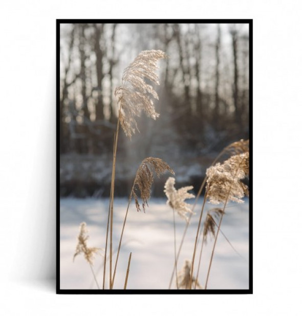 Plakat BOHO WINTER GRASS no.2