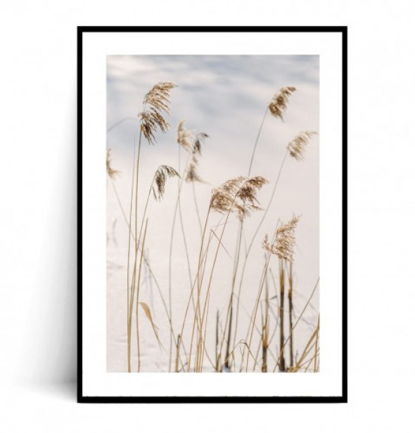 Plakat BOHO WINTER GRASS no.3