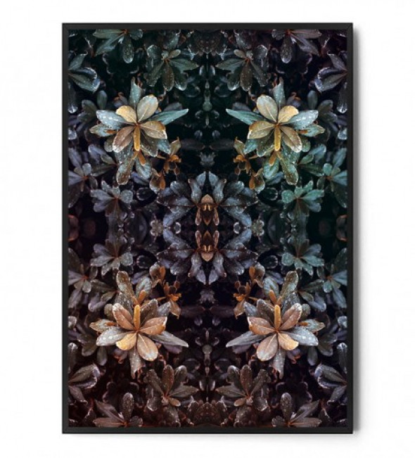 Plakat BOTANICAL ART no.13