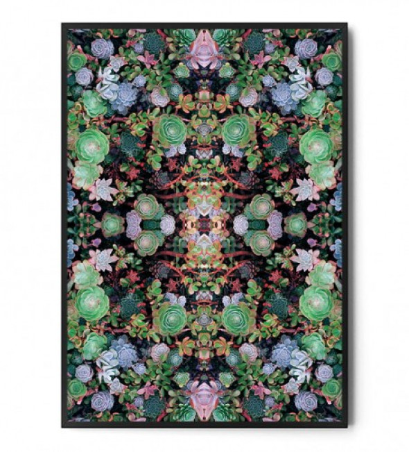 Plakat BOTANICAL ART no.16