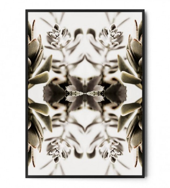 Plakat BOTANICAL ART no.17