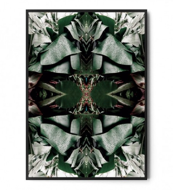 Plakat BOTANICAL ART no.20