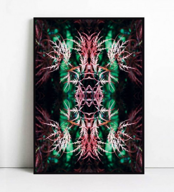 Plakat BOTANICAL ART no.26