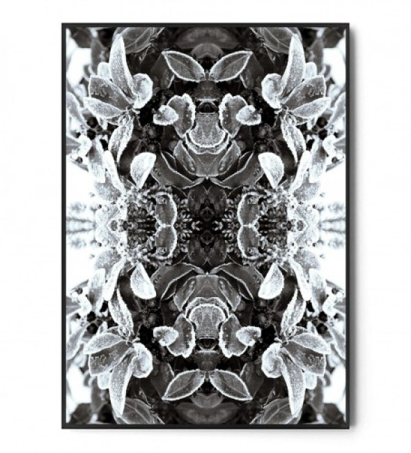 Plakat BOTANICAL ART no.32