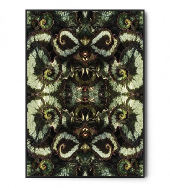 Plakat BOTANICAL ART no.37
