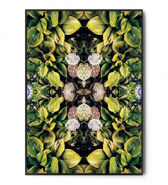 Plakat BOTANICAL ART no.41