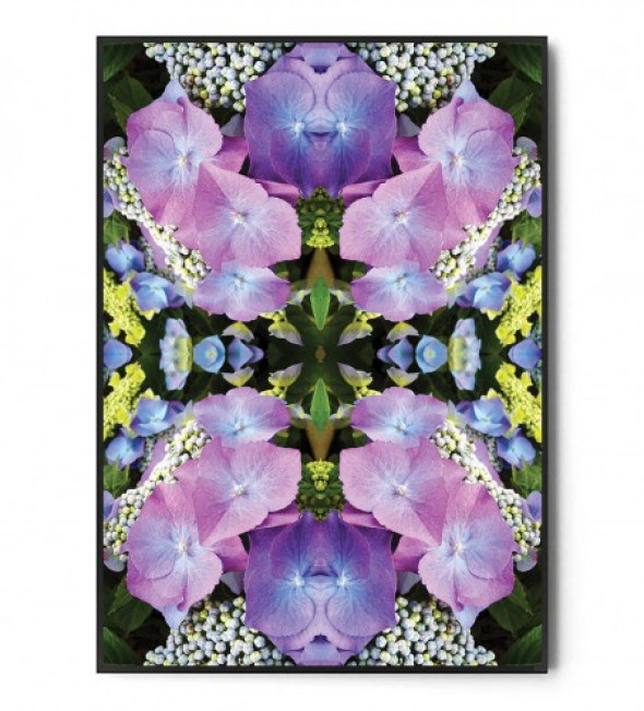 Plakat BOTANICAL ART no.43 a