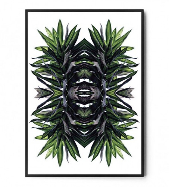Plakat BOTANICAL ART no.7