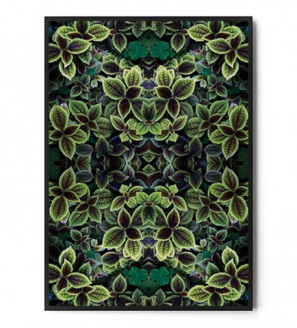 Plakat BOTANICAL ART no.9