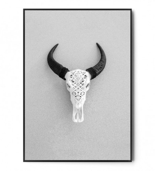 Plakat BUFFALO SKULL