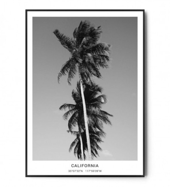 Plakat CALIFORNIA