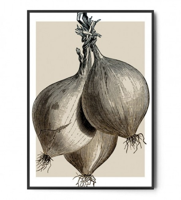 Plakat CEBULA