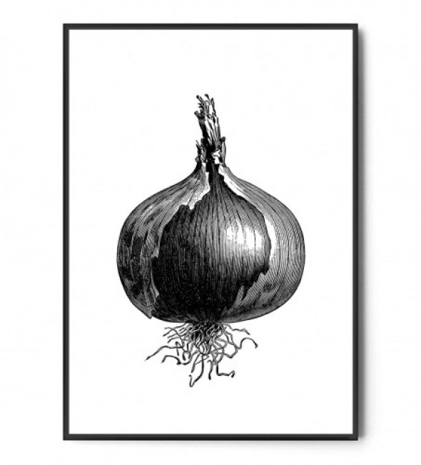 Plakat CEBULA no.1