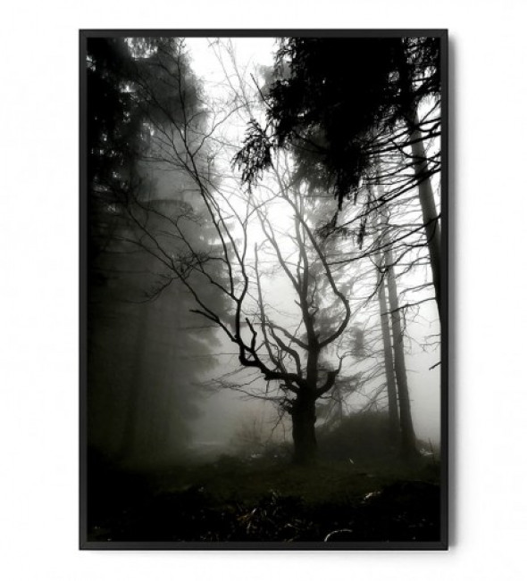 Plakat DARK FOREST