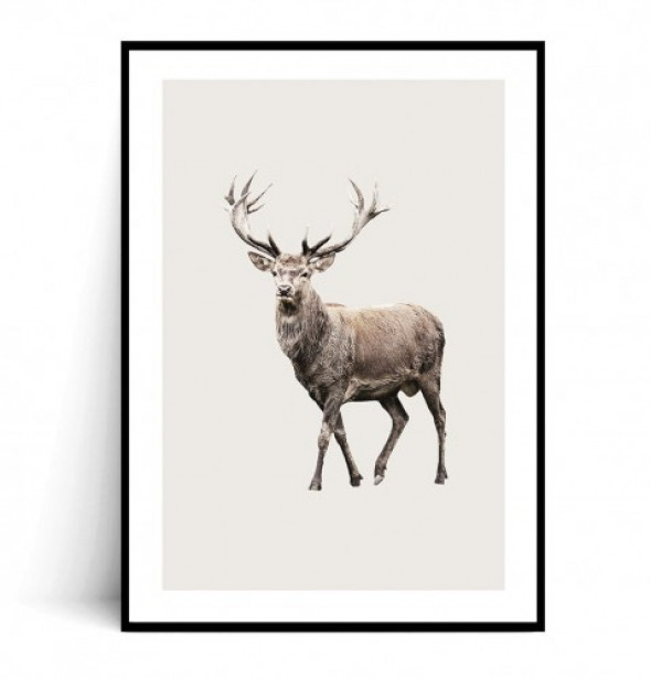 Plakat DEER