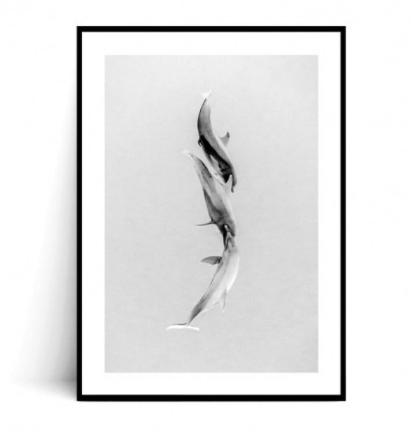 Plakat DELFINY MINIMAL