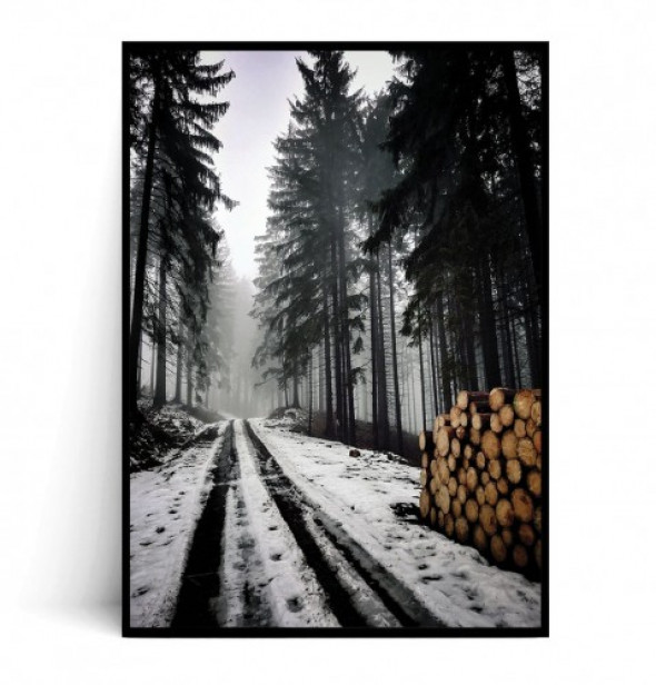 Plakat DREWIENKA W LESIE