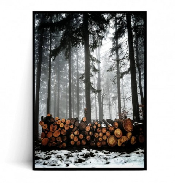 Plakat DREWIENKA W LESIE no.1