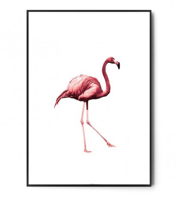 Plakat FLAMING