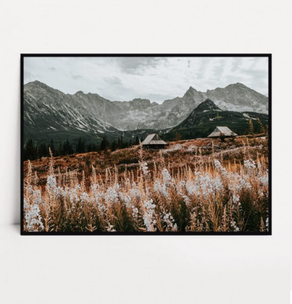 Plakat HALA GĄSIENICOWA no.2 poziomy