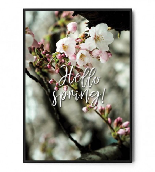 Plakat HELLO SPRING!