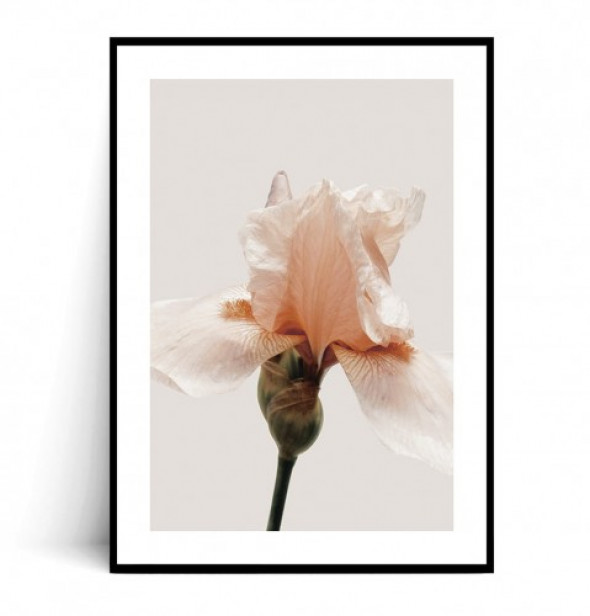 Plakat IRYS MINIMAL no.1