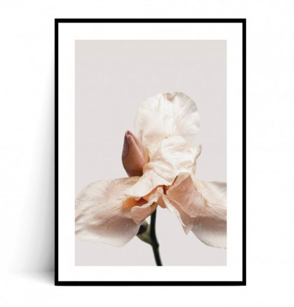 Plakat IRYS MINIMAL no.2