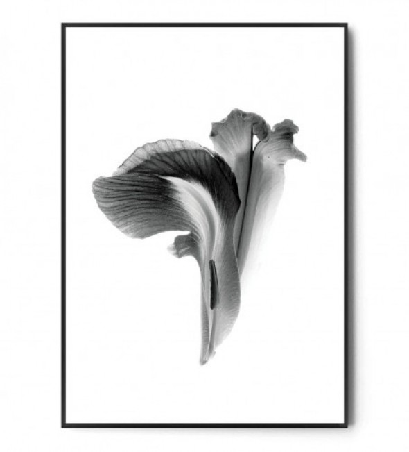Plakat IRYS no.1
