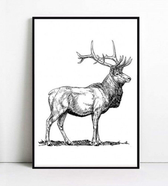 Plakat JELONEK RETRO