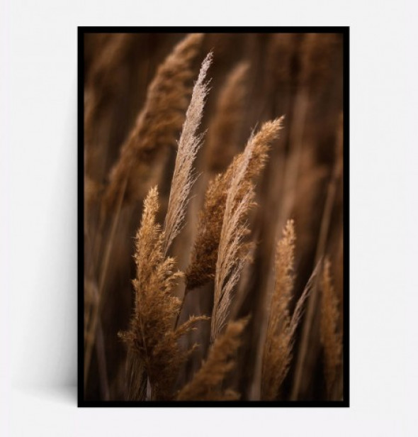 Plakat JESIENNA TRAWA no.1