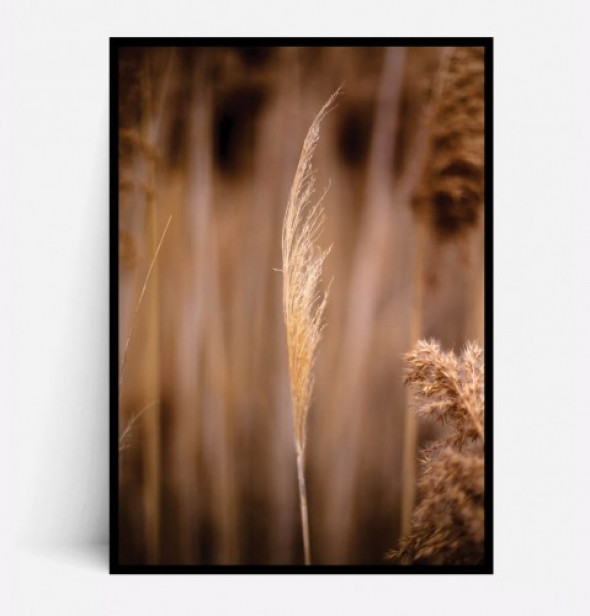 Plakat JESIENNA TRAWA no.3