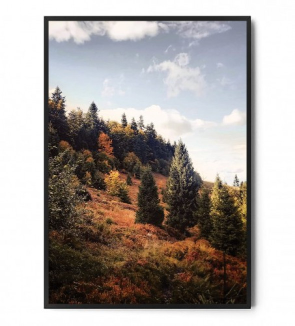 Plakat JESIENNY LAS no.1