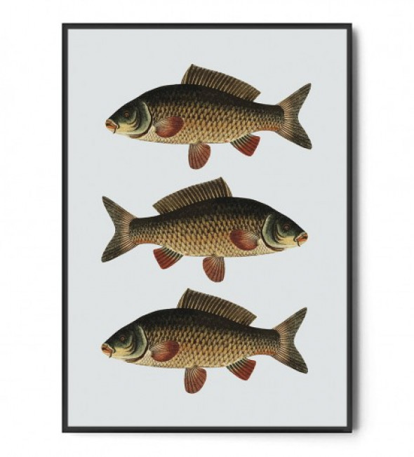 Plakat KARP