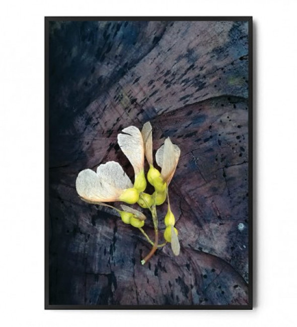 Plakat KLON