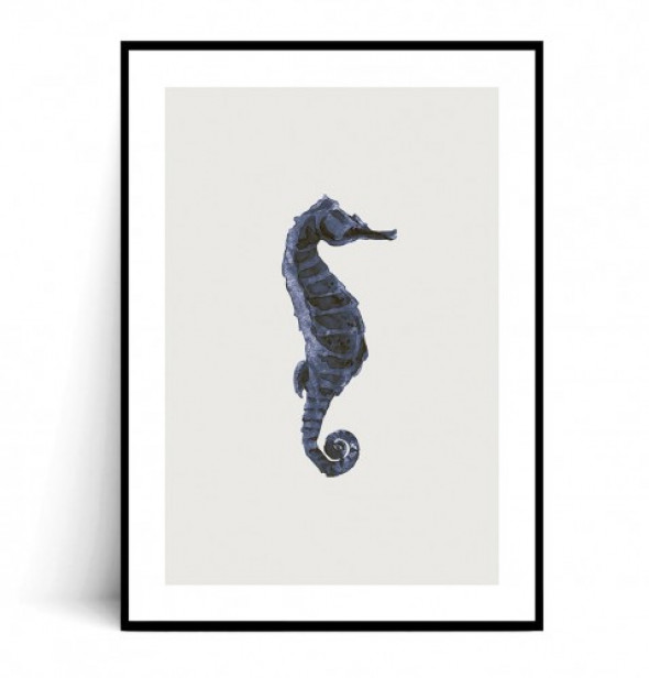 Plakat KONIK MORSKI VINTAGE