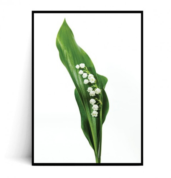 Plakat KONWALIA