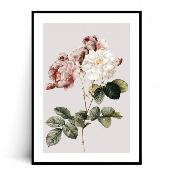 Plakat KWIATY VINTAGE no.2