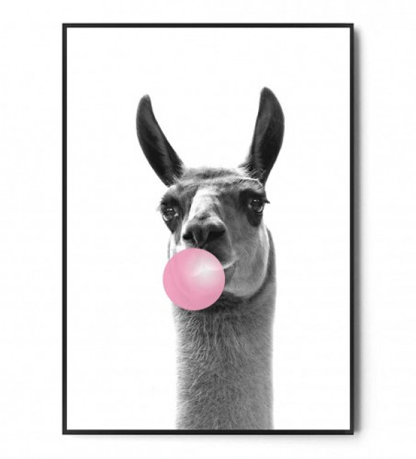 Plakat LAMA BUBBLE GUM